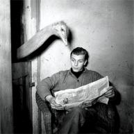 Ostrich Does Crossword